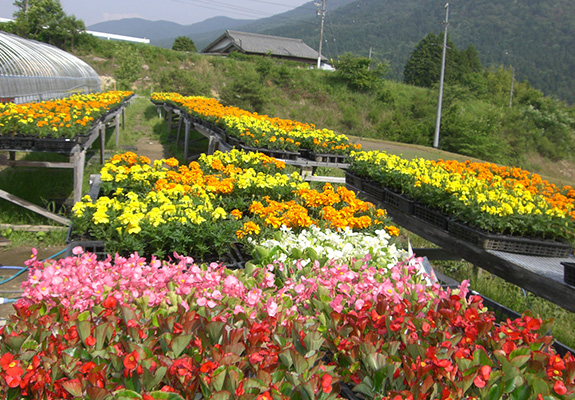 写真：第二白竹の里